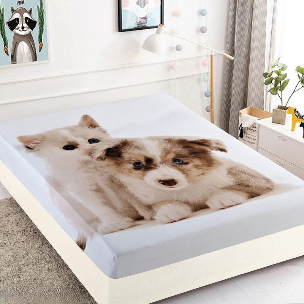 huse cu elastic bumbac finet o persoana alb maro catel pisica CFS08