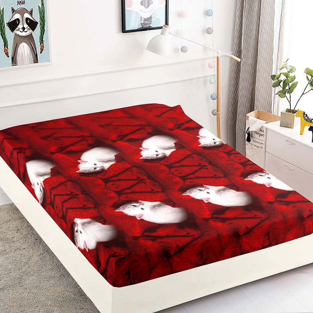 huse cu elastic bumbac finet o persoana rosu alb pisici  CFS02
